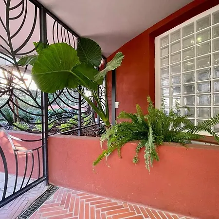 2 Pieces Pres De La Croisette Apartment Cannes