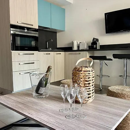 Apartment 2 Pieces Pres De La Croisette *